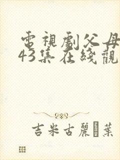 电视剧父母爱情43集在线观看