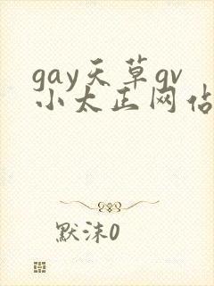 gay天草gv小太正网站