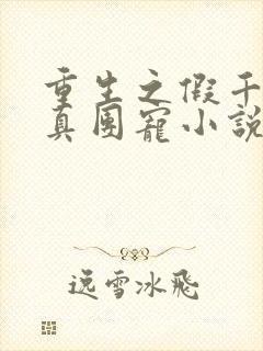 重生之假千金是真团宠小说