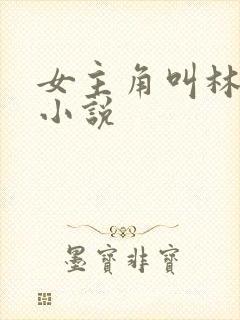 女主角叫林念的小说