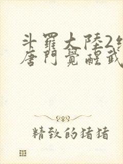 斗罗大陆2绝世唐门觉醒武魂