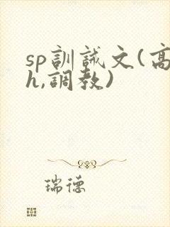 sp训诫文(高h,调教)封面