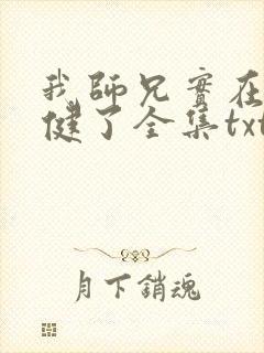 我师兄实在太稳健了全集txt封面