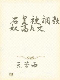 石昊被调教成肉奴高h文