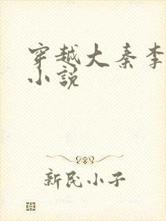 穿越大秦李辰的小说