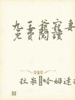 九王爷宠妻如命免费阅读封面