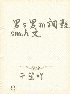 男s男m调教(sm,h文