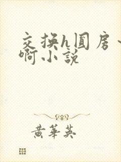 交换h圆房～嗯啊小说