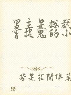 男主是总裁女主会捉鬼的小说