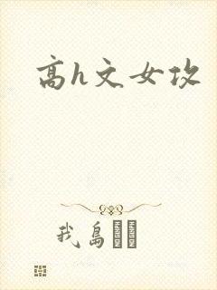 高h文女攻