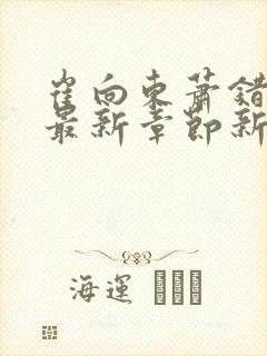 崔向东萧错小说最新章节新笔趣阁
