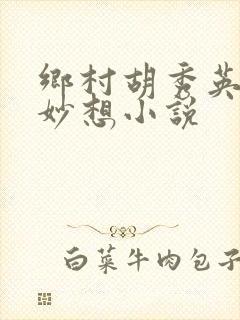 乡村胡秀英奇思妙想小说封面