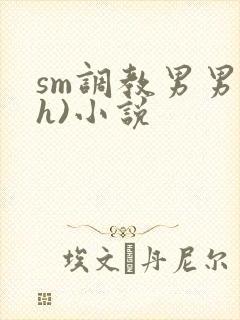 sm调教男男(h)小说