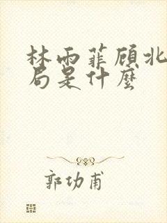 林雨菲顾北潇结局是什么