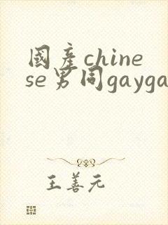 国产chinese男同gaygay网站