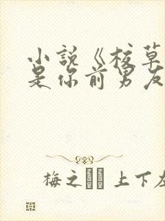 小说《校草居然是你前男友》封面