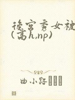 后宫秀女被调教(高h,np)