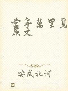 当年万里觅封侯原文