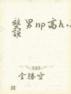 双男np高h小说