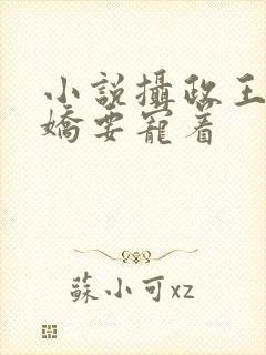 小说摄政王是病娇要宠着