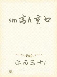 sm高h重口