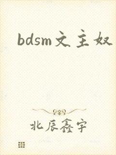 bdsm文主奴