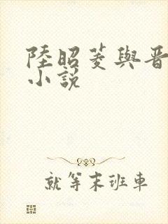 陆昭菱与晋王的小说