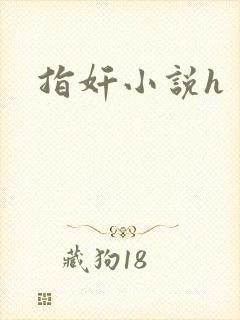 指奸小说h