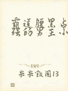 霸道腹黑占有欲强的男主小说