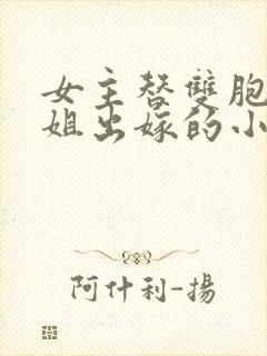 女主替双胞胎姐姐出嫁的小说