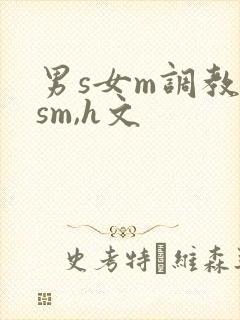男s女m调教(sm,h文封面