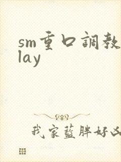 sm重口调教play