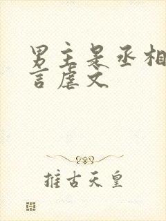 男主是丞相的古言虐文封面