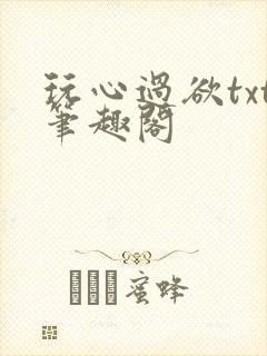 玩心过欲txt笔趣阁