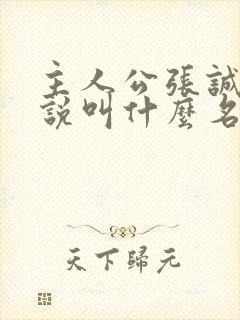 主人公张诚的小说叫什么名字