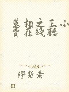 万相之王小说免费在线听