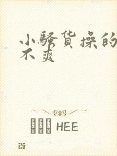 小骚货操的你爽不爽