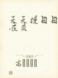 天天摸日日揉夜夜爽封面