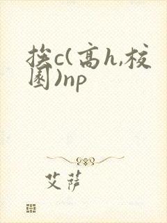 挨c(高h,校园)np