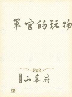 军官的玩物封面