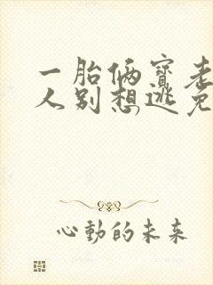 一胎俩宝老婆大人别想逃免费阅读封面