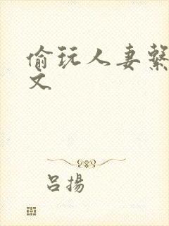 偷玩人妻系列h文