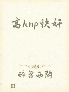高hnp快奸