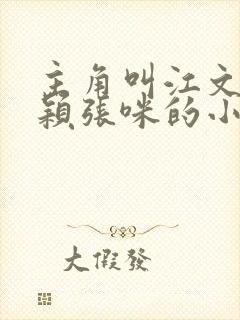 主角叫江文斌赵颖张咪的小说封面
