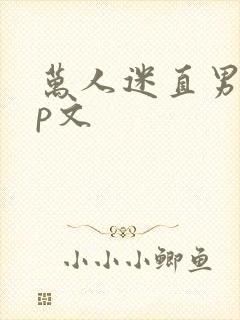 万人迷直男受np文封面