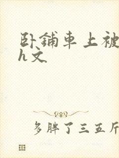 卧铺车上被强肉h文封面