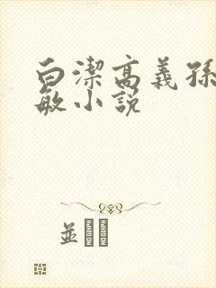 白洁高义孙倩张敏小说
