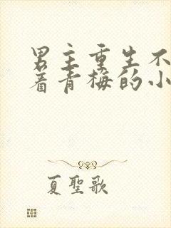 男主重生不再缠着青梅的小说封面