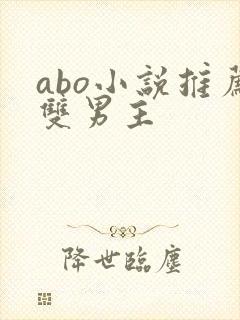 abo小说推荐双男主