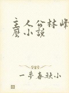 主人公林峰是什么小说
